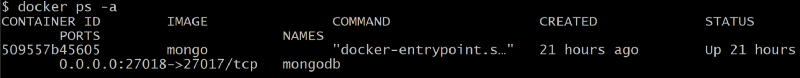 Screenshot of Docker process list